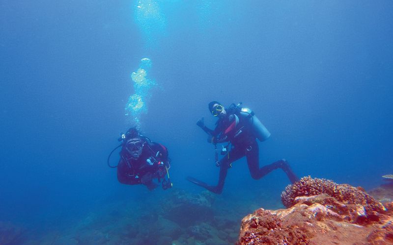 海洋途徑 Ocean Channel 潛水